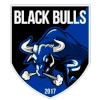 Black Bulls